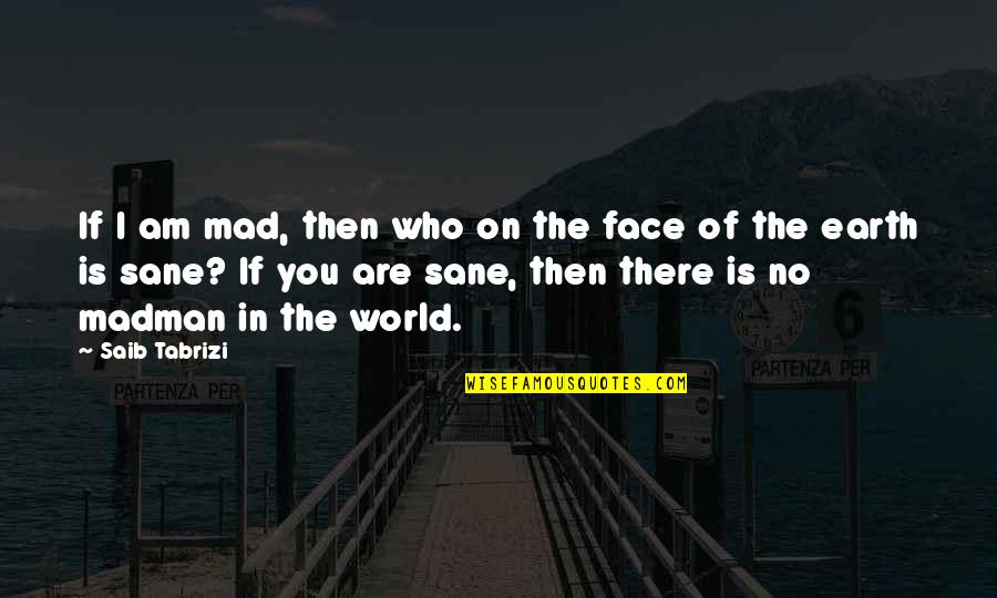 Mad Mad Mad Mad World Quotes By Saib Tabrizi: If I am mad, then who on the
