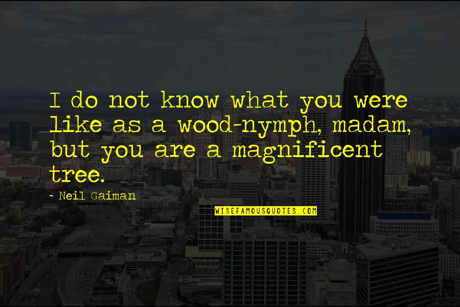 Madam Quotes By Neil Gaiman: I do not know what you were like