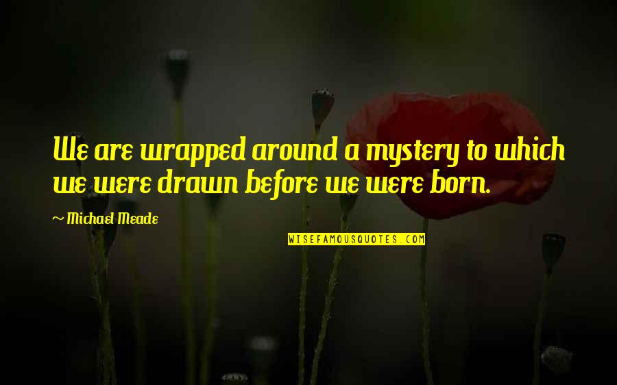 Madame Suliman Quotes By Michael Meade: We are wrapped around a mystery to which