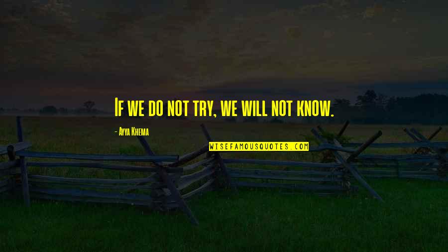 Madden Obvious Quotes By Ayya Khema: If we do not try, we will not