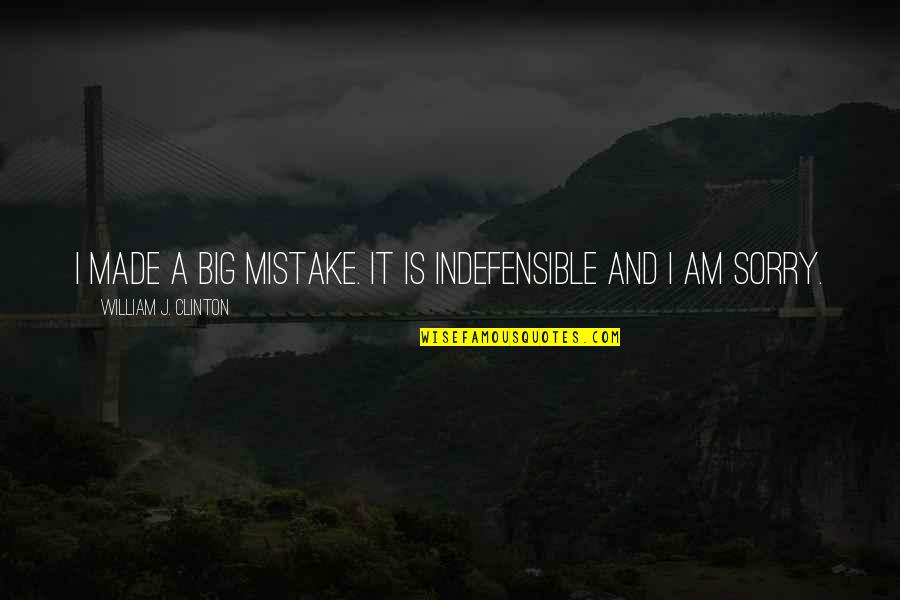 Made A Mistake Quotes By William J. Clinton: I made a big mistake. It is indefensible