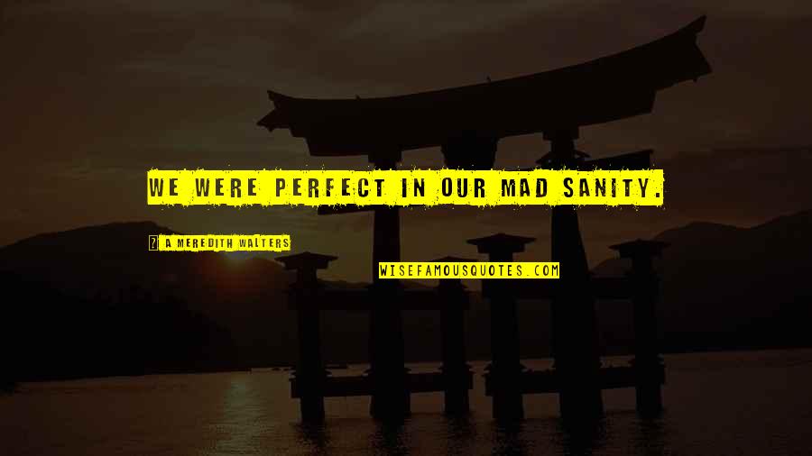 Made Some Bad Choices Quotes By A Meredith Walters: We were perfect in our mad sanity.