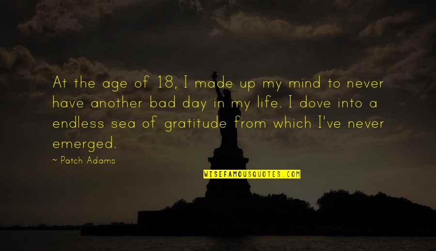 Made Up My Mind Quotes By Patch Adams: At the age of 18, I made up
