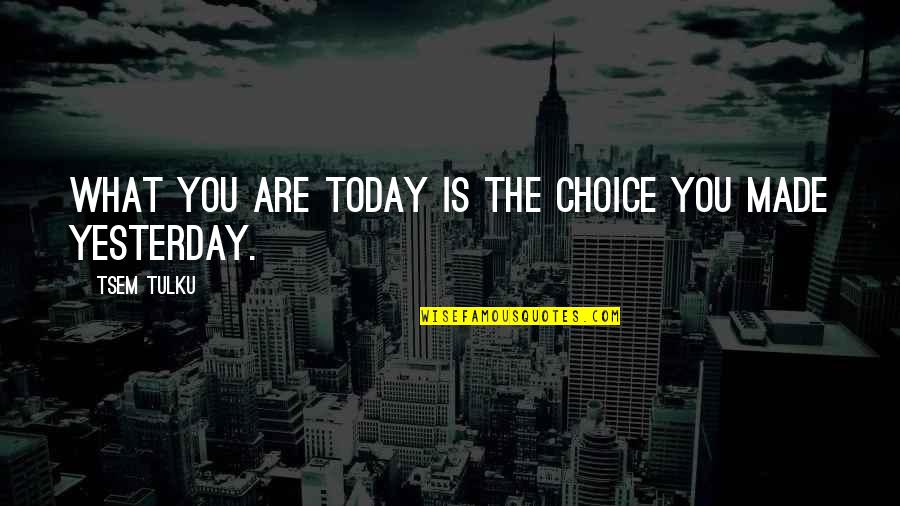 Made Your Choice Quotes By Tsem Tulku: What you are today is the choice you