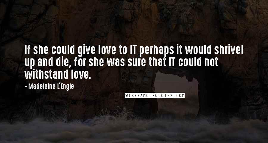 Madeleine L'Engle quotes: If she could give love to IT perhaps it would shrivel up and die, for she was sure that IT could not withstand love.