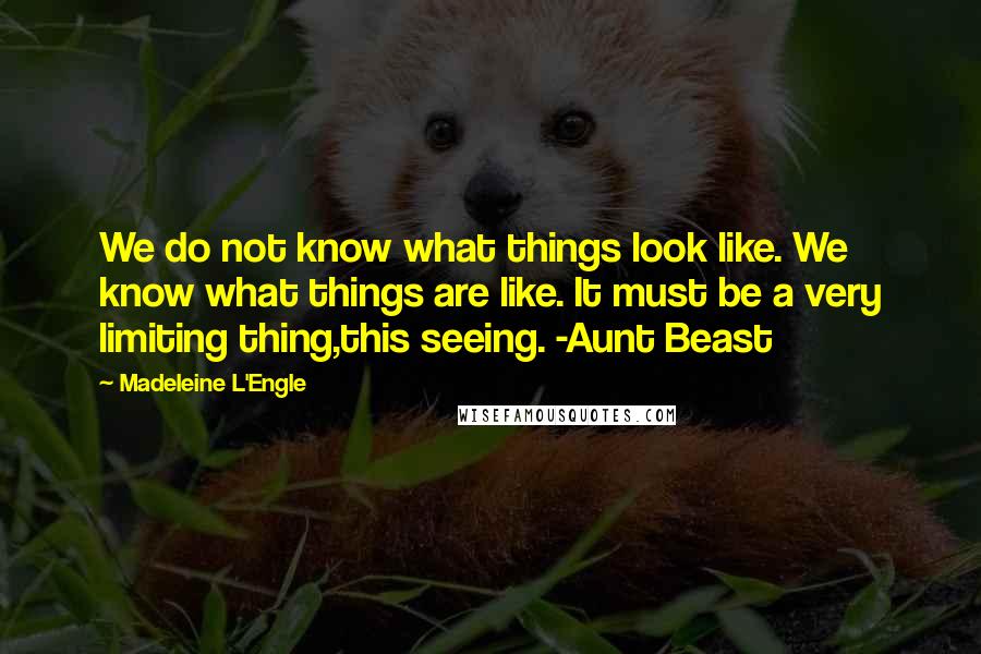 Madeleine L'Engle quotes: We do not know what things look like. We know what things are like. It must be a very limiting thing,this seeing. -Aunt Beast