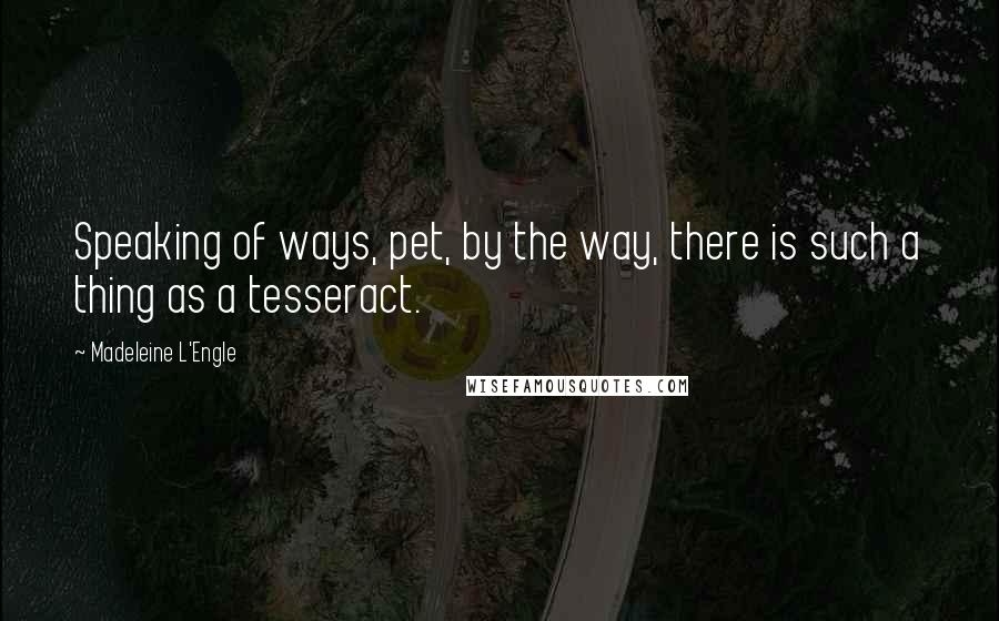 Madeleine L'Engle quotes: Speaking of ways, pet, by the way, there is such a thing as a tesseract.