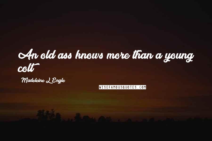 Madeleine L'Engle quotes: An old ass knows more than a young colt