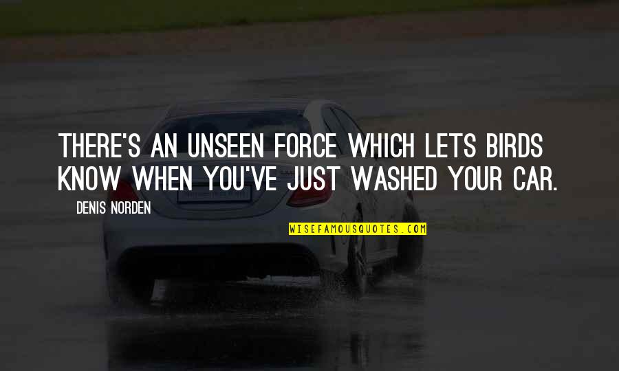 Madeleine Vionnet Quotes By Denis Norden: There's an unseen force which lets birds know