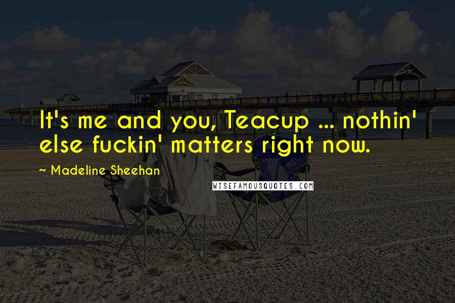 Madeline Sheehan quotes: It's me and you, Teacup ... nothin' else fuckin' matters right now.
