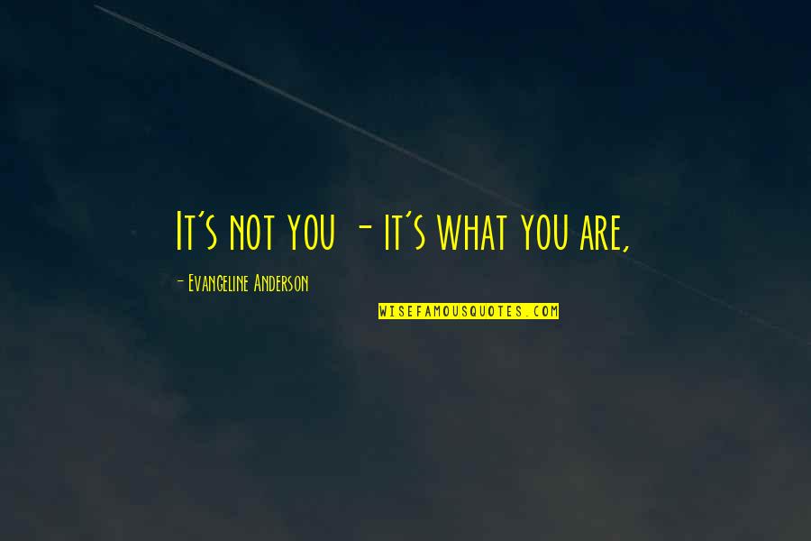 Madena Geel Quotes By Evangeline Anderson: It's not you - it's what you are,