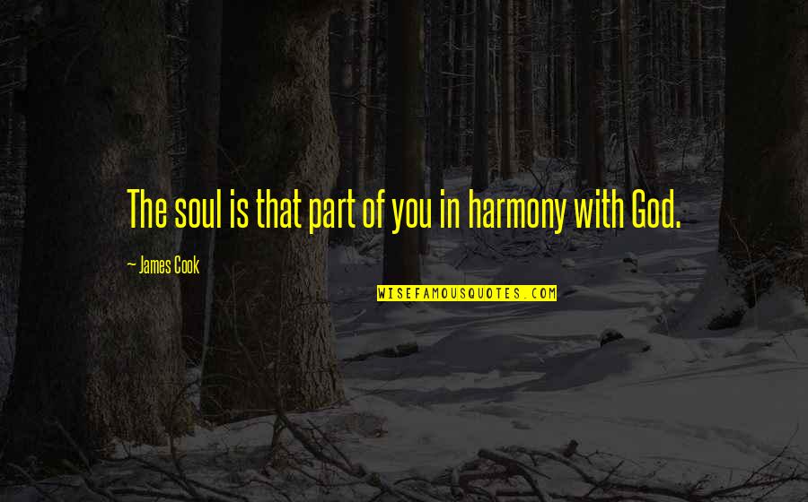 Maderalibrary Quotes By James Cook: The soul is that part of you in