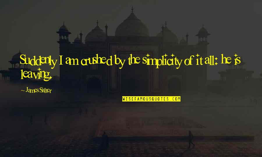 Madinit Quotes By James Salter: Suddenly I am crushed by the simplicity of