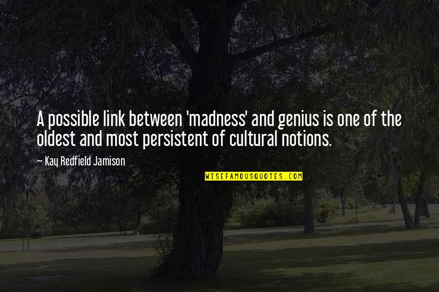 Madness Genius Quotes By Kay Redfield Jamison: A possible link between 'madness' and genius is