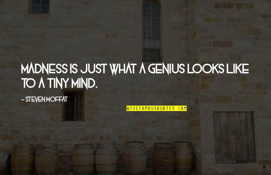 Madness Genius Quotes By Steven Moffat: Madness is just what a genius looks like