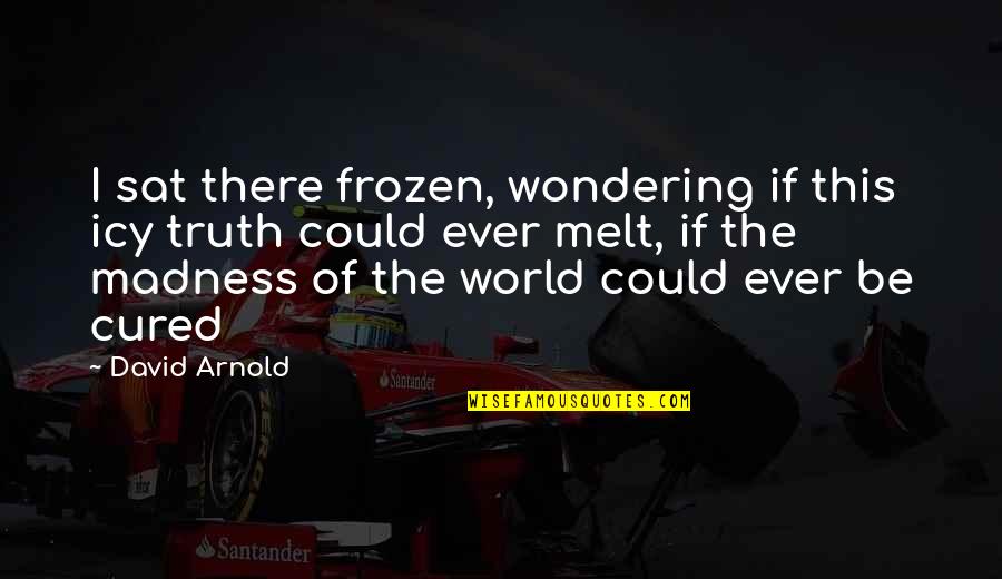 Madness In Our World Quotes By David Arnold: I sat there frozen, wondering if this icy