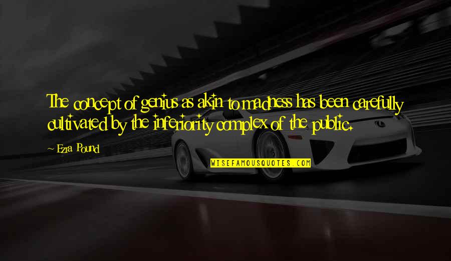 Madness Is Genius Quotes By Ezra Pound: The concept of genius as akin to madness