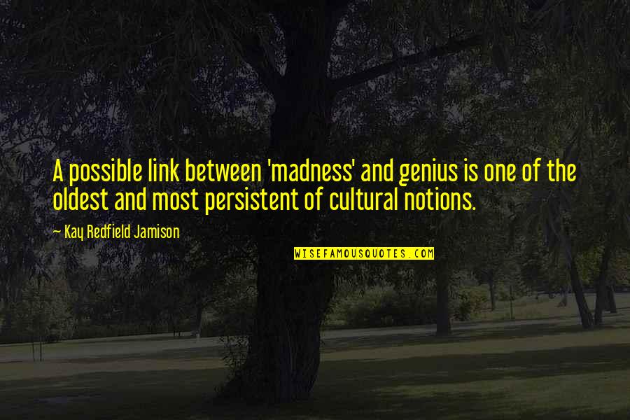 Madness Is Genius Quotes By Kay Redfield Jamison: A possible link between 'madness' and genius is