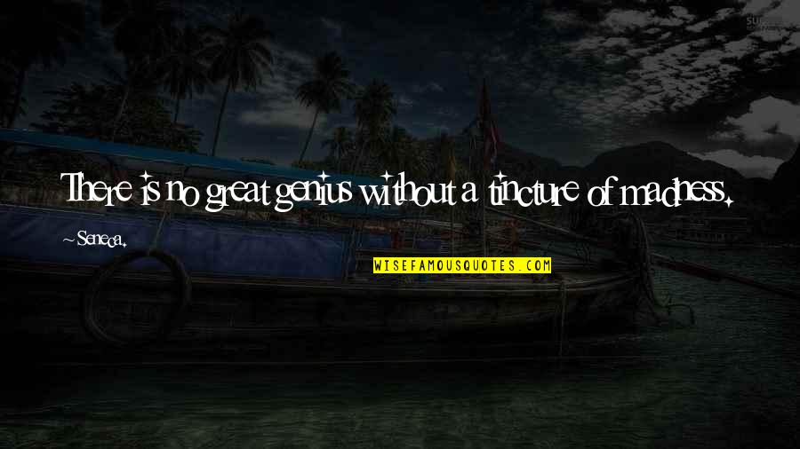 Madness Is Genius Quotes By Seneca.: There is no great genius without a tincture