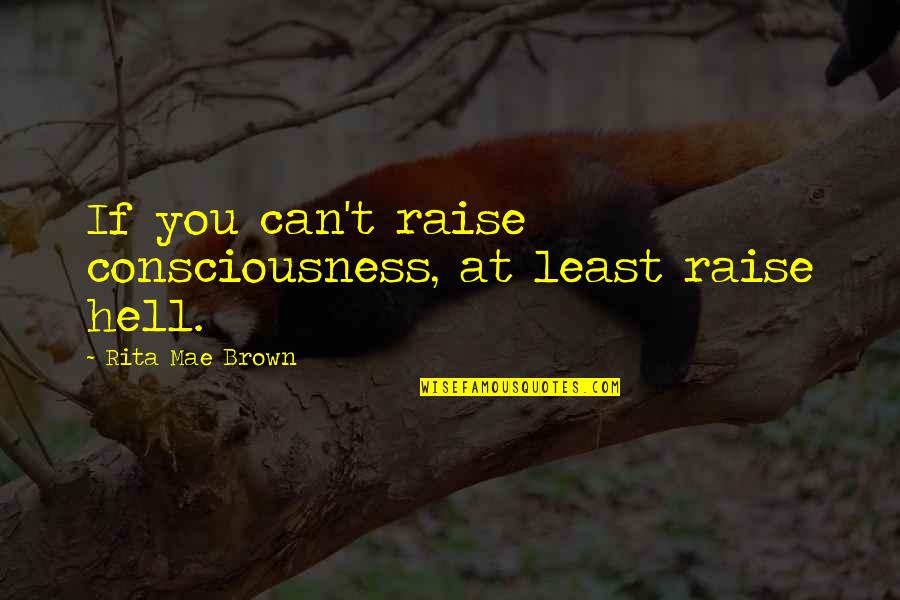 Mae Quotes By Rita Mae Brown: If you can't raise consciousness, at least raise
