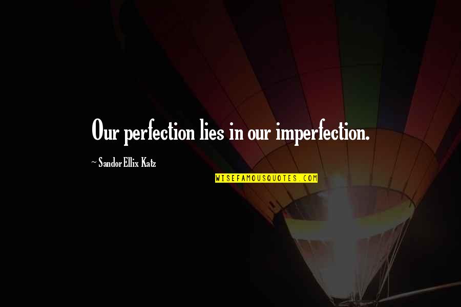 Mae West Life Quotes By Sandor Ellix Katz: Our perfection lies in our imperfection.