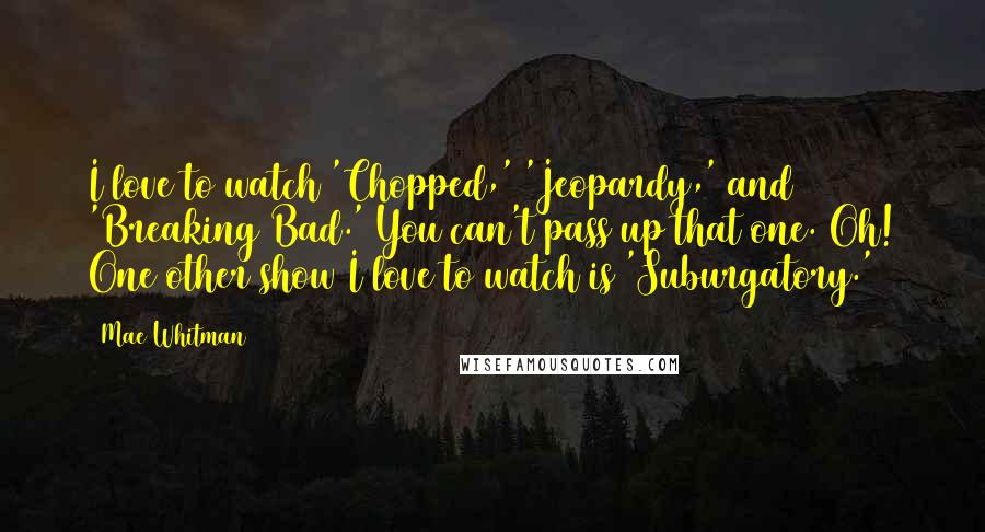 Mae Whitman quotes: I love to watch 'Chopped,' 'Jeopardy,' and 'Breaking Bad.' You can't pass up that one. Oh! One other show I love to watch is 'Suburgatory.'