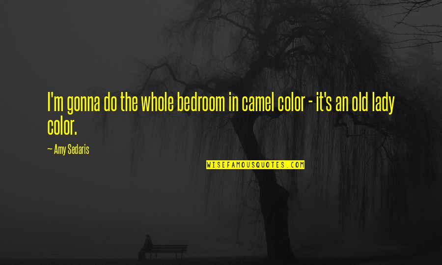 Maeda Toshiie Quotes By Amy Sedaris: I'm gonna do the whole bedroom in camel