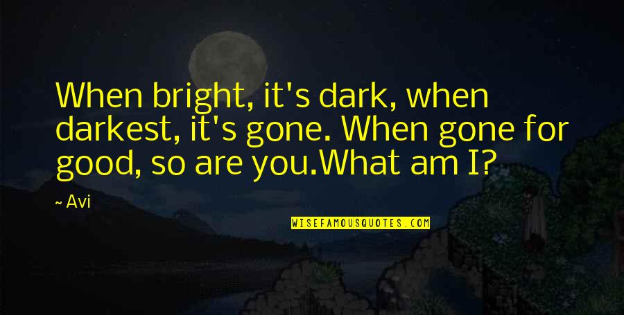 Maege Mormont Quotes By Avi: When bright, it's dark, when darkest, it's gone.