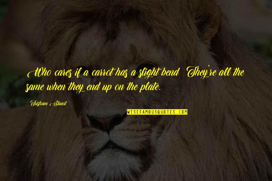 Maegen Eddinger Quotes By Tristram Stuart: Who cares if a carrot has a slight