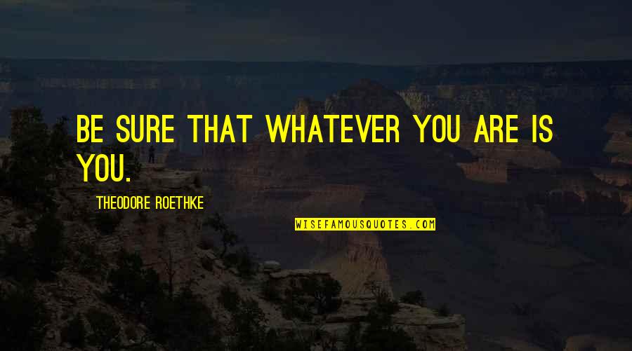 Maeghan Mchale Quotes By Theodore Roethke: Be sure that whatever you are is you. Maeghan Mchale Quotes By Theodore Roethke: Be sure that whatever you are is you.