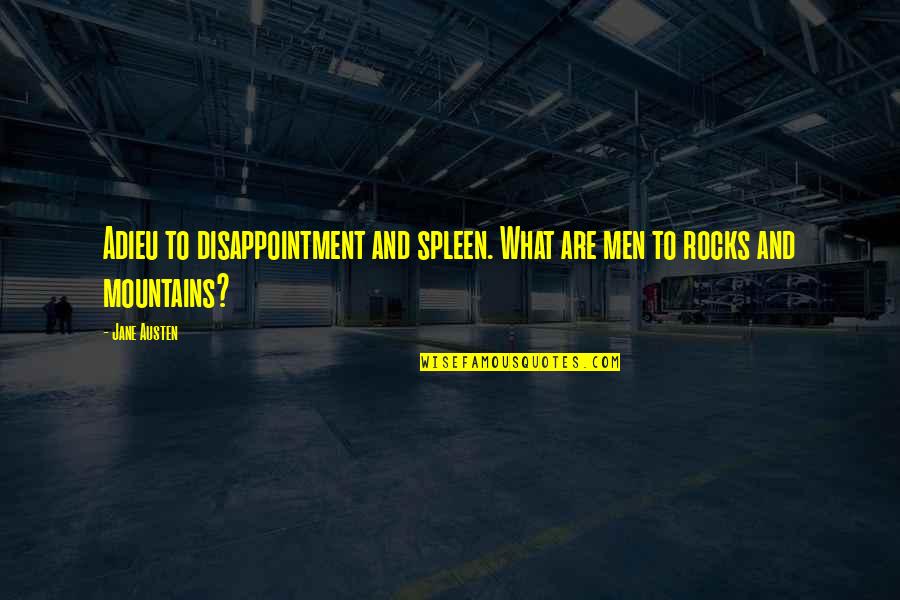 Maelora Quotes By Jane Austen: Adieu to disappointment and spleen. What are men