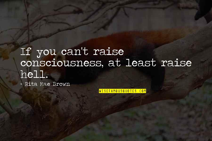 Mae'r Quotes By Rita Mae Brown: If you can't raise consciousness, at least raise