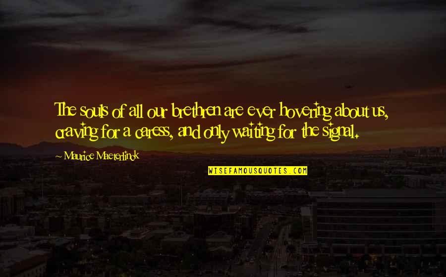 Maeterlinck's Quotes By Maurice Maeterlinck: The souls of all our brethren are ever Maeterlinck's Quotes By Maurice Maeterlinck: The souls of all our brethren are ever