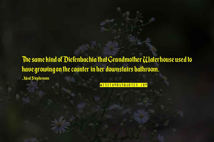 Maetzold Quotes By Neal Stephenson: The same kind of Diefenbachia that Grandmother Waterhouse