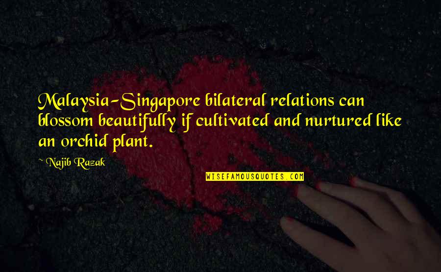 Mafara Hobson Quotes By Najib Razak: Malaysia-Singapore bilateral relations can blossom beautifully if cultivated