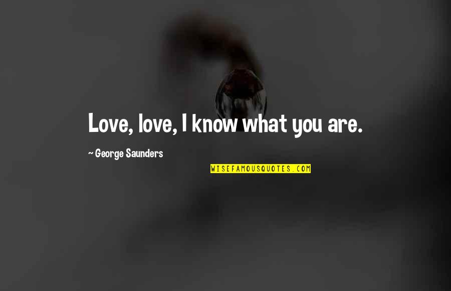 Mafdet Ffx Quotes By George Saunders: Love, love, I know what you are.