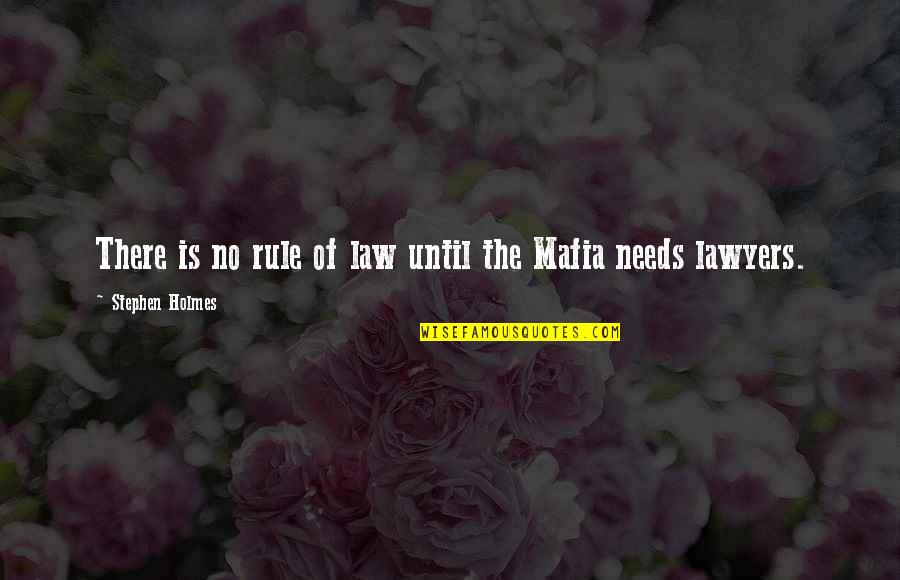 Mafia Quotes By Stephen Holmes: There is no rule of law until the