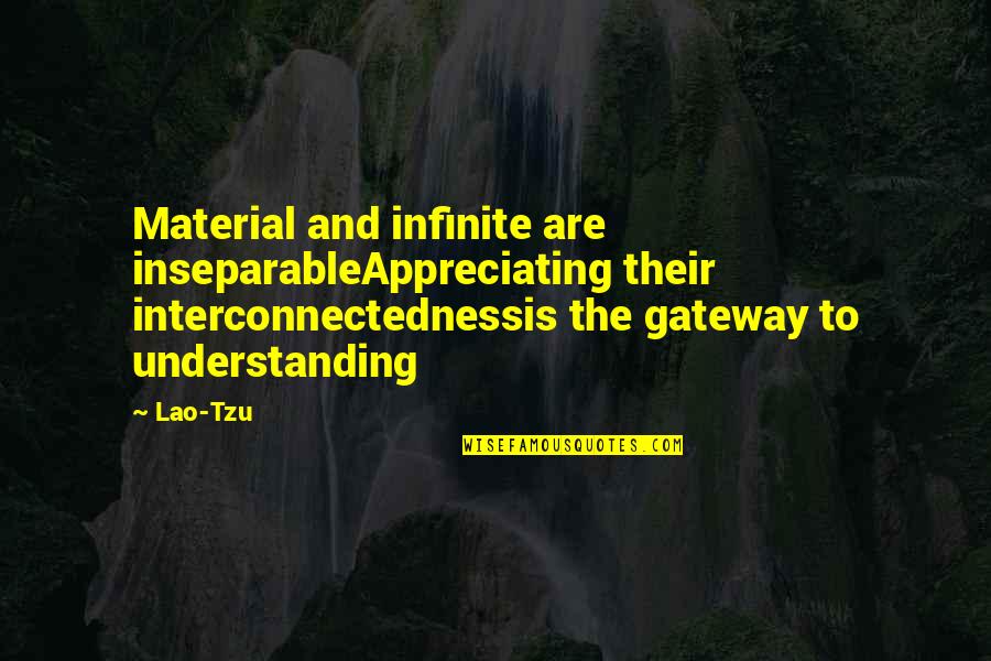 Maganlal Daiya Quotes By Lao-Tzu: Material and infinite are inseparableAppreciating their interconnectednessis the Maganlal Daiya Quotes By Lao-Tzu: Material and infinite are inseparableAppreciating their interconnectednessis the