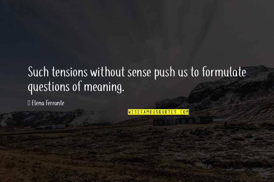 Maganlal Meghraj Quotes By Elena Ferrante: Such tensions without sense push us to formulate
