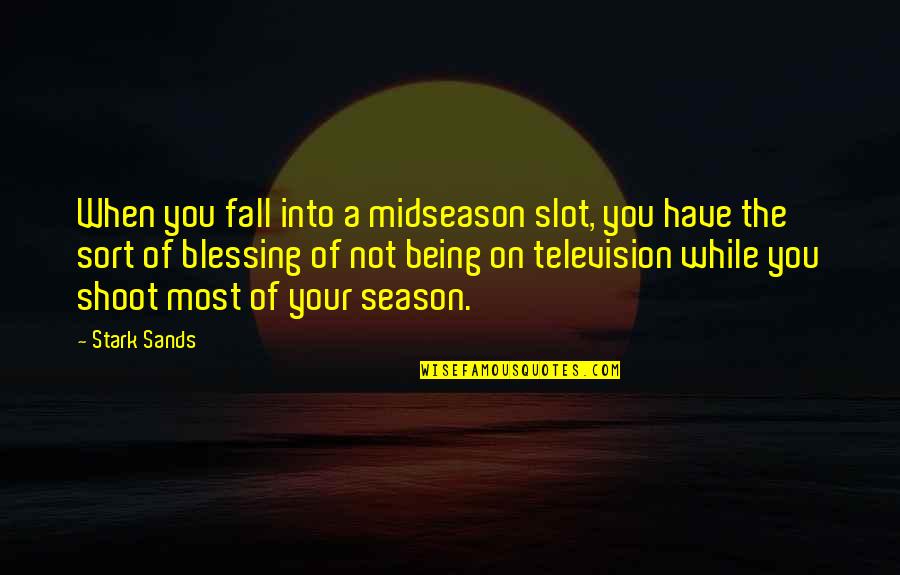 Magazine Spread Quotes By Stark Sands: When you fall into a midseason slot, you