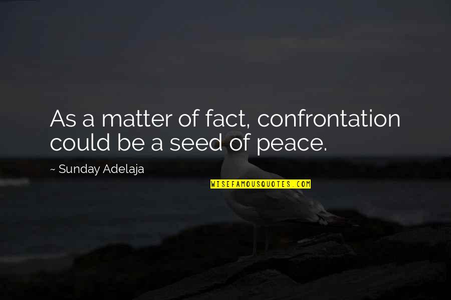 Magda Herzberger Quotes By Sunday Adelaja: As a matter of fact, confrontation could be