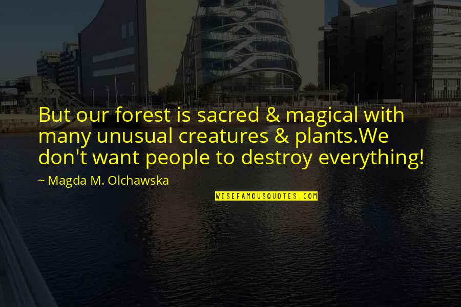 Magda Quotes By Magda M. Olchawska: But our forest is sacred & magical with Magda Quotes By Magda M. Olchawska: But our forest is sacred & magical with