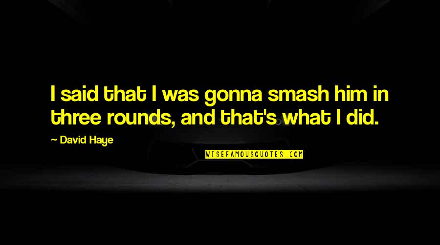 Magelanova Quotes By David Haye: I said that I was gonna smash him