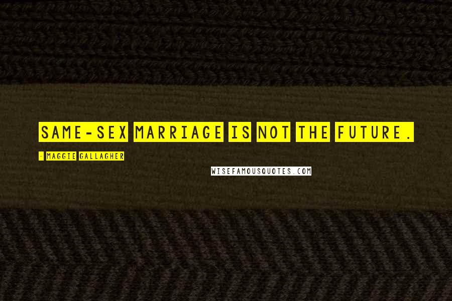 Maggie Gallagher quotes: Same-sex marriage is not the future.