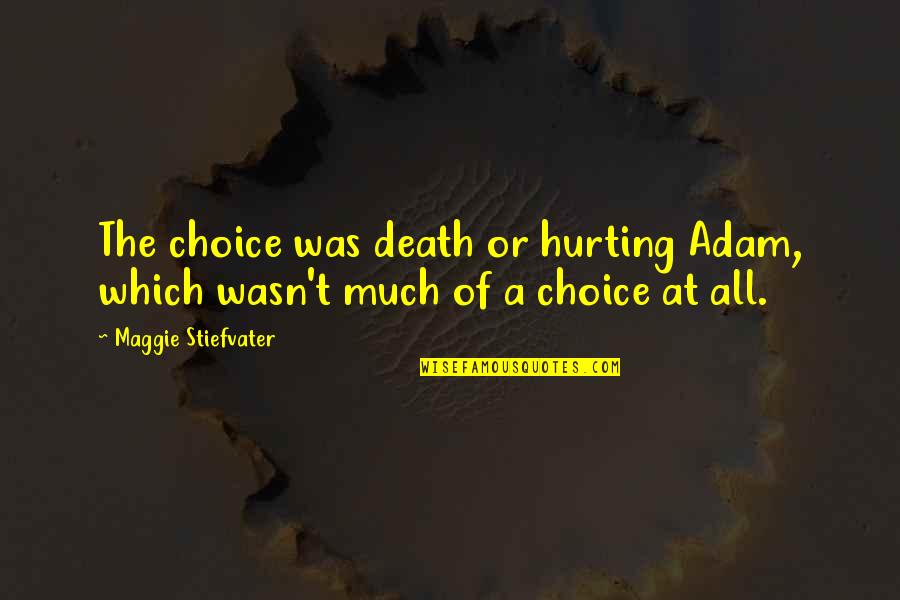 Maggie Quotes By Maggie Stiefvater: The choice was death or hurting Adam, which