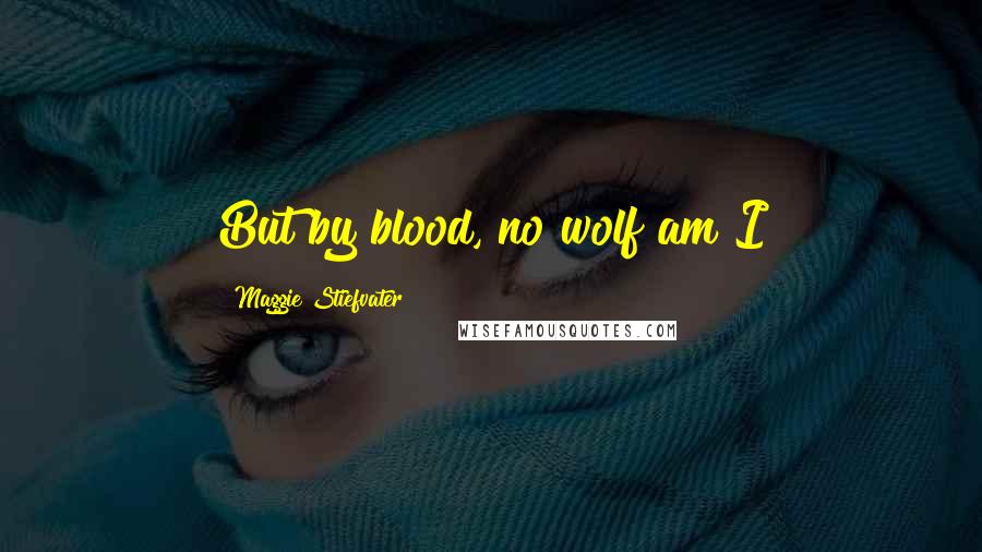 Maggie Stiefvater quotes: But by blood, no wolf am I