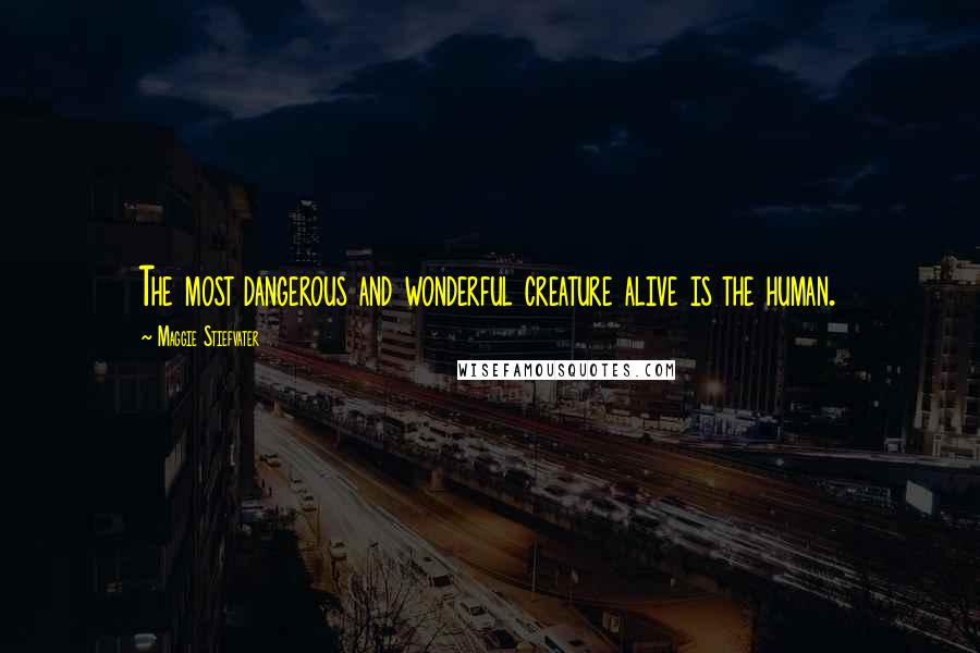 Maggie Stiefvater quotes: The most dangerous and wonderful creature alive is the human.