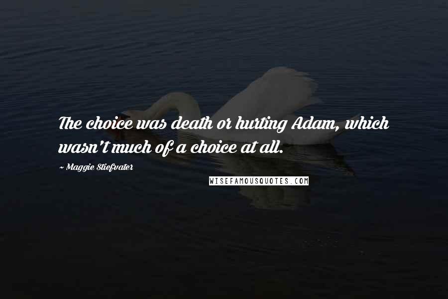 Maggie Stiefvater quotes: The choice was death or hurting Adam, which wasn't much of a choice at all.