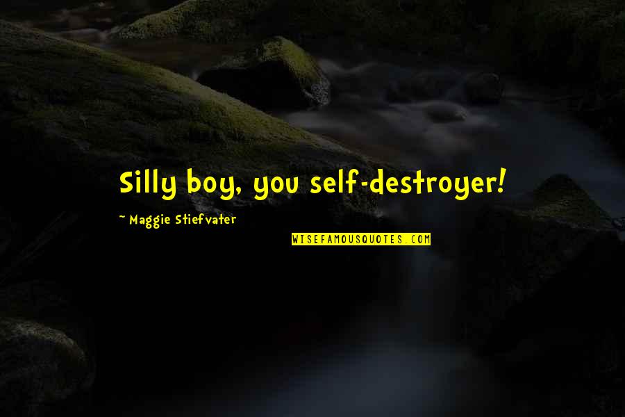 Maggie Stiefvater Quotes By Maggie Stiefvater: Silly boy, you self-destroyer! Maggie Stiefvater Quotes By Maggie Stiefvater: Silly boy, you self-destroyer!