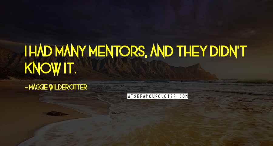 Maggie Wilderotter quotes: I had many mentors, and they didn't know it.